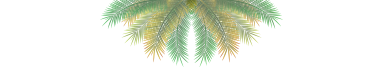 TOPBNR