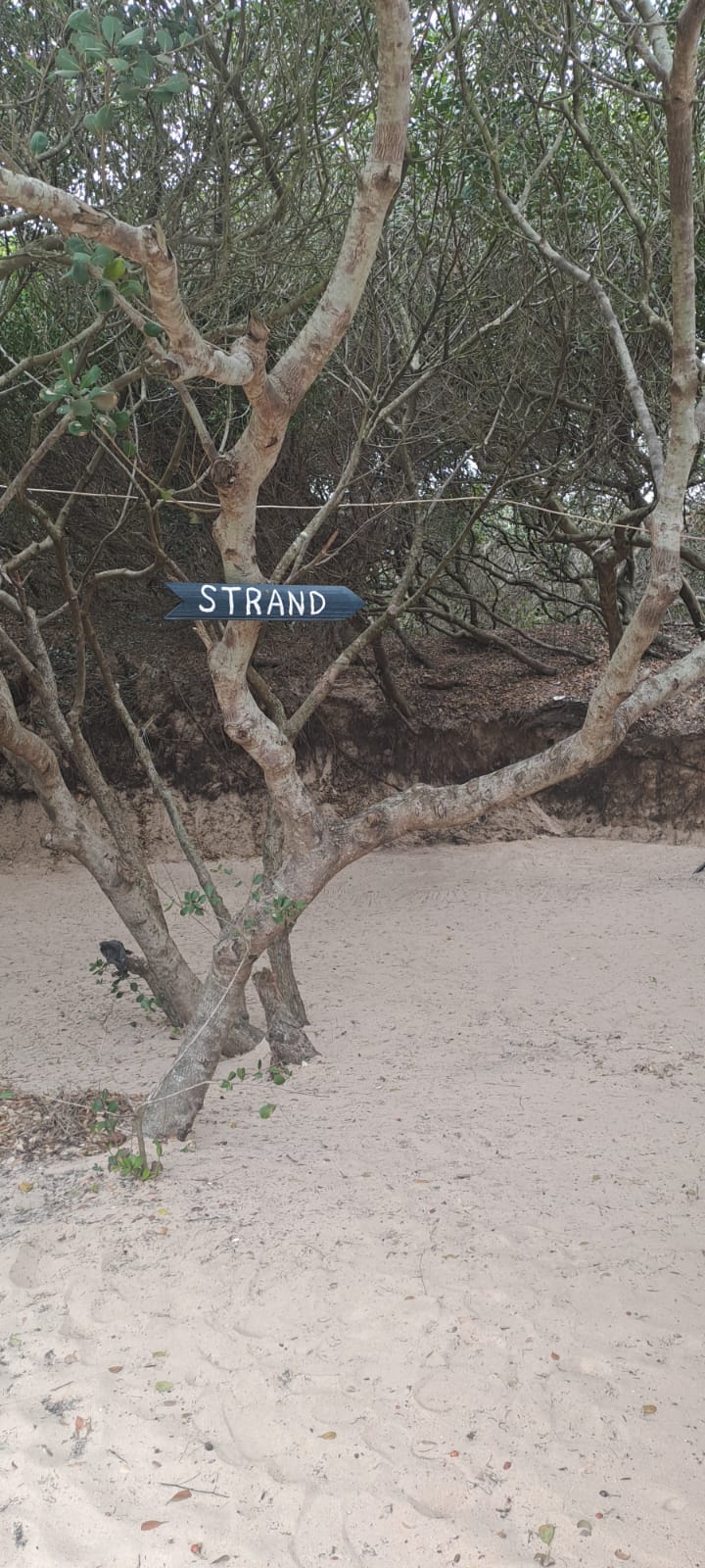 Footpath to the beach