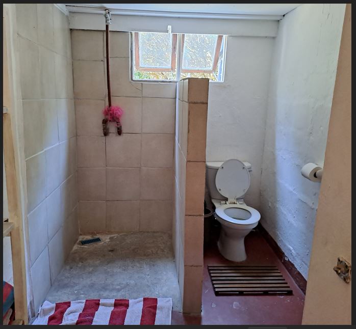 Toilet and shower downstairs
